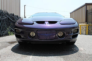 1998 Bright Purple Metallic Trans Am, 1 of 84 SOLD!!-buxmdil.jpg