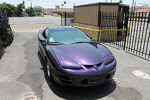 1998 Bright Purple Metallic Trans Am, 1 of 84 SOLD!!-ngcx3lg.jpg