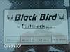 Gmmg. Blackbird #5-027.jpg