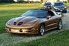 1998 TA Sport Gold Metallic 382rwhp M6-ta3_clean_small.jpg