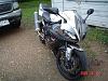2003 Yamaha YZF R1 For Sale or Trade TX.-smaller.jpg