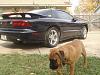 99 Pontiac TransAm-6684_3.jpg