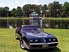 1979 Pontiac Trans Am - Jacksonville, Fl.-warrenh.jpg