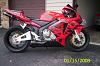 FS: 2003 CBR 600RR, Paint and more.-1.jpg