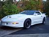 1997 White WS6 TRANS AM M6-deeeeeeek033.jpg