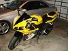 2006 Yamaha R1 50th Anniversary-1.jpg