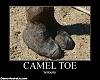 so i murdered out my...-camel-toe-seriously-demotivational-poster-1-.jpg