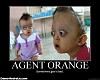 so i murdered out my...-agent-orange-demotivational-poster-1-.jpg