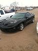 2000 Firehawk Salvage-img951350.jpg