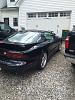 1998 Black Trans Am-image-1723133404.jpg