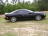 Chrome SS Zr1's or Black C6 Z06 on a Black SS-100_0465-small.jpg