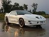 White Trans Am Ruff 278s &quot; black &quot;-pic1.jpg