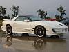 White Trans Am Ruff 278s &quot; black &quot;-pic2.jpg