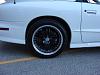 White Trans Am Ruff 278s &quot; black &quot;-pic9.jpg