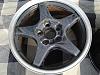 Painted the ZR1's at Home-dsc01153.jpg