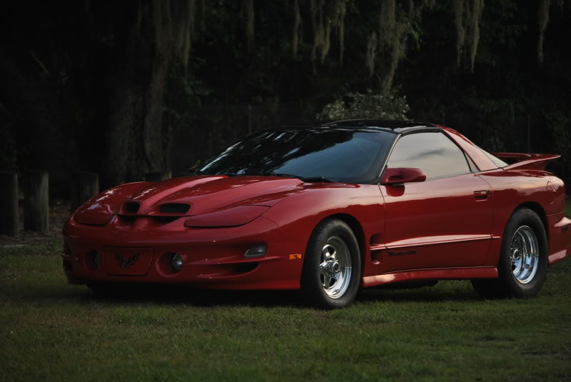 Name:  TransAm079.jpg
Views: 4744
Size:  52.7 KB