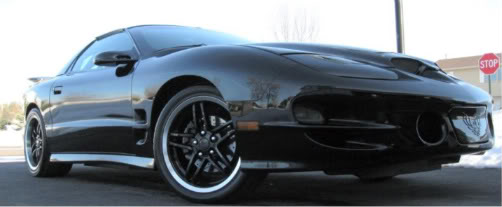 Name:  TAnewwheels09.jpg
Views: 927
Size:  18.5 KB