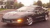 9T7 Trans Am's Avatar