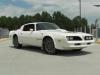 1978 Trans Am's Avatar