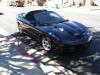 Big Lew WS6's Avatar