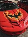 LS1DAVEWS6's Avatar