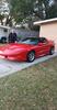 Todd Lewis Sr.'s Avatar