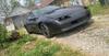 97z28clone91's Avatar