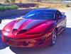 98transam special's Avatar