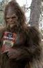 sasquatch's Avatar