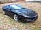 LtTransAm91