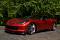 Randy WS6