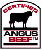 Angus's Avatar