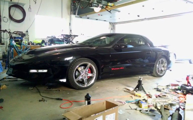 RIDE ON! A 1995 Pontiac Firebird Trans Am