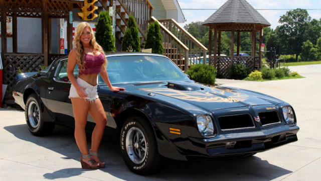 1976 Pontiac Trans Am for Sale – Model Not Included