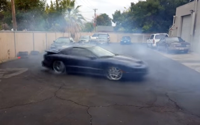 LS1 Donuts