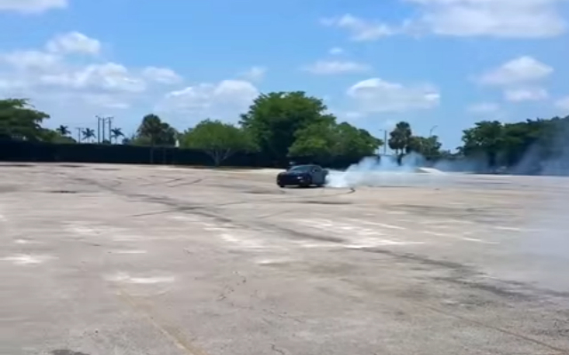 LS1 Donuts