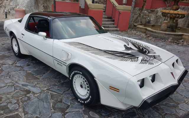 Spread Your Wings and Fly Away with This 1981 Pontiac Trans Am Daytona Pace Car