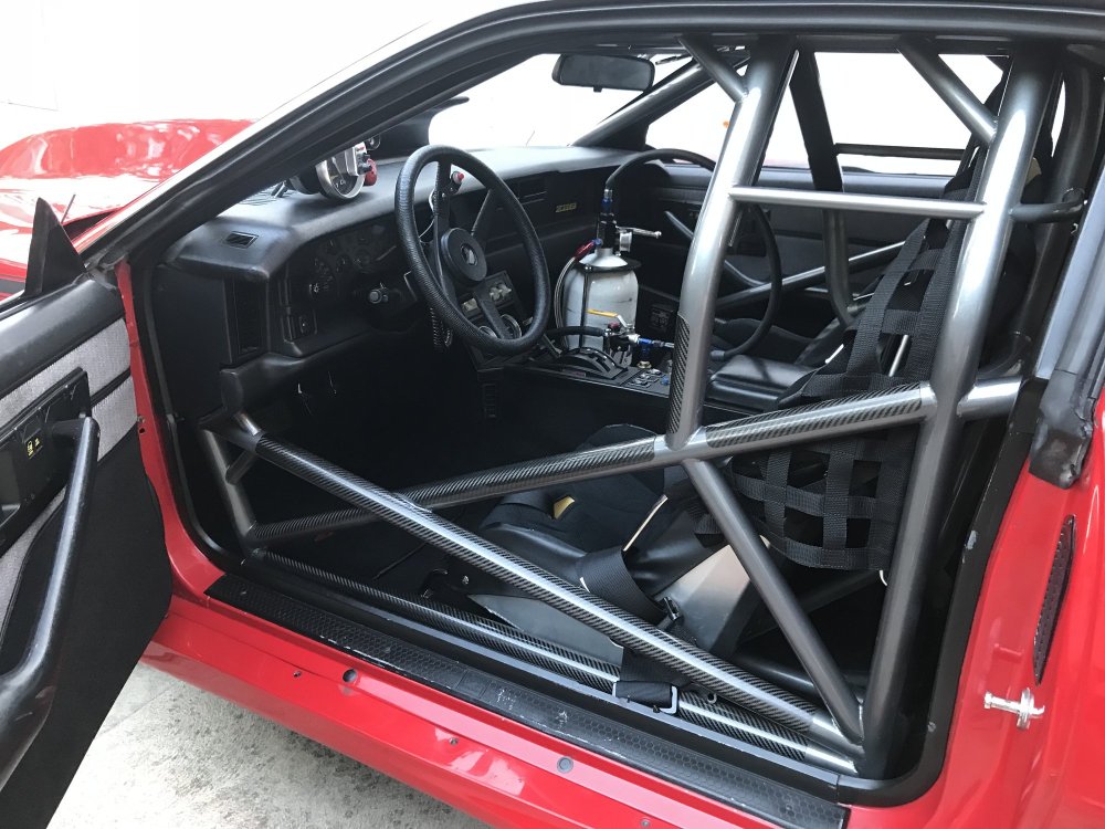 Camaro Cage