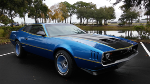 Custom 1985 Pontiac Firebird